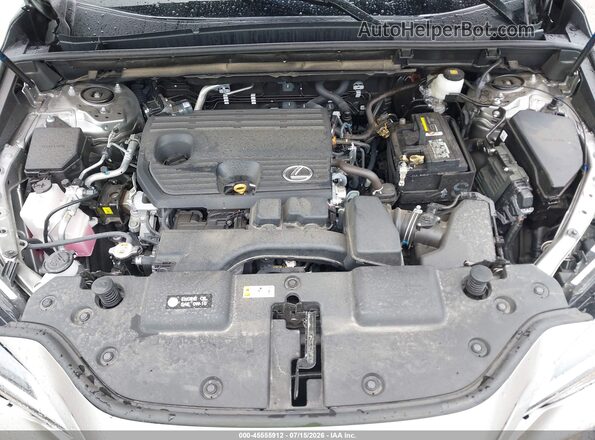 2T2GDCAZ2SC018120 2025 LEXUS NX 250 Silver Вид ззаду