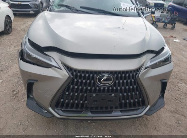 2T2GDCAZ2SC018120 2025 LEXUS NX 250 Silver 