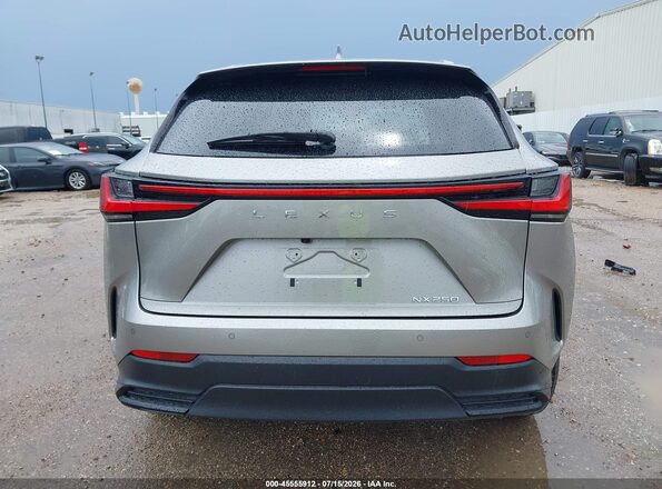 2T2GDCAZ2SC018120 2025 LEXUS NX 250 Silver 
