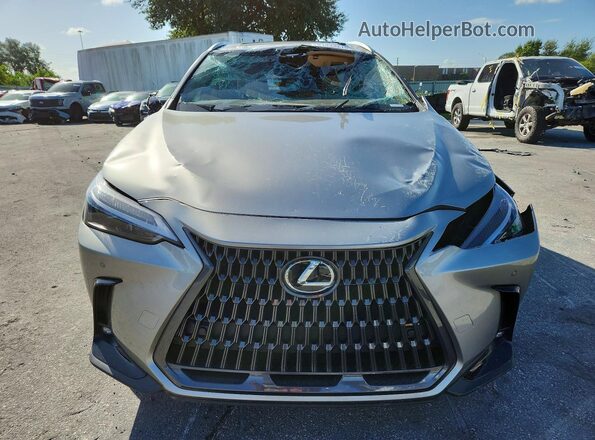 2T2GDCAZ3SC025495 2025 LEXUS NX Silver Front view
