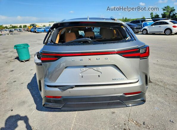 2T2GDCAZ3SC025495 2025 LEXUS NX Silver Rear view
