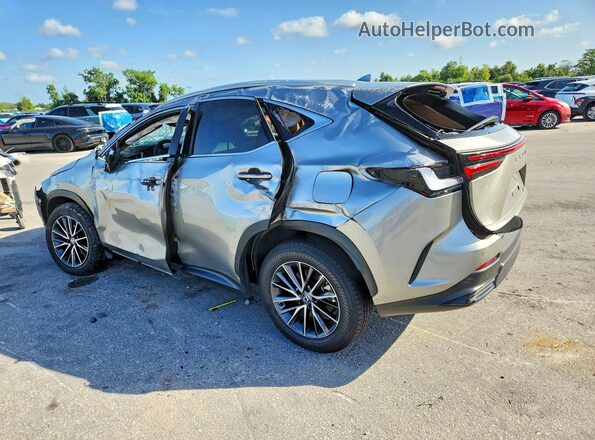 2T2GDCAZ3SC025495 2025 LEXUS NX Silver Rear left