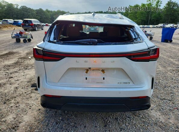 2T2GDCAZ4NC002585 2022 LEXUS NX White Vista trasera