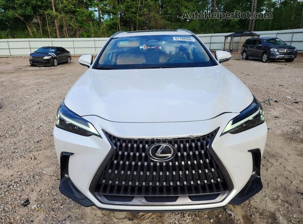 2T2GDCAZ4NC002585 2022 LEXUS NX White Vista frontal
