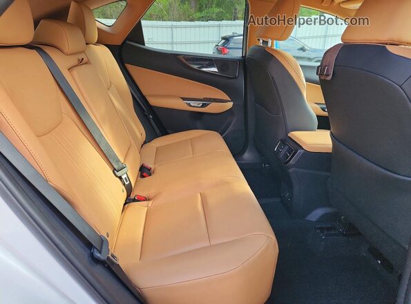2T2GDCAZ4NC002585 2022 LEXUS NX White Vista de los asientos traseros