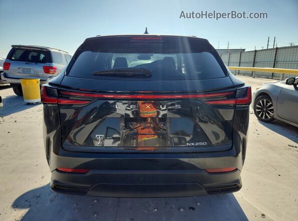 2T2GDCAZ4RC015021 2024 LEXUS NX Black Հետևի տեսք