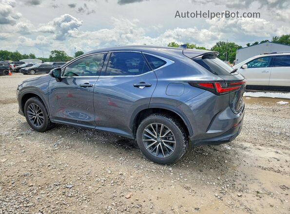 2T2GDCAZ4SC018006 2025 LEXUS NX Gray Tył lewy