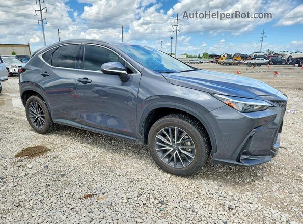 2T2GDCAZ4SC018006 2025 LEXUS NX Gray Przód prawy