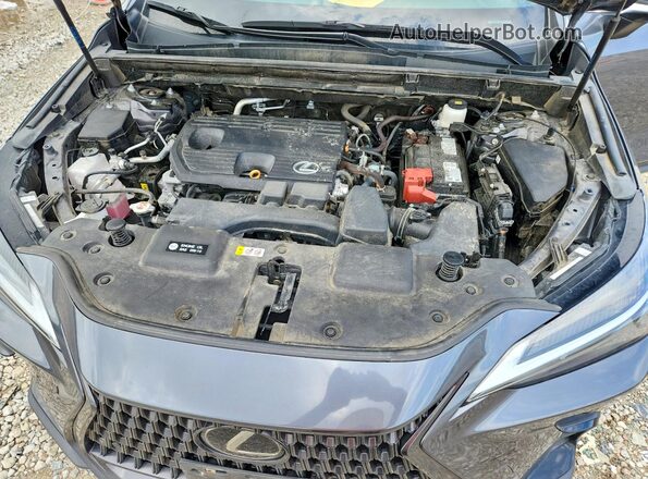 2T2GDCAZ4SC018006 2025 LEXUS NX Gray Widok wnętrza z tyłu