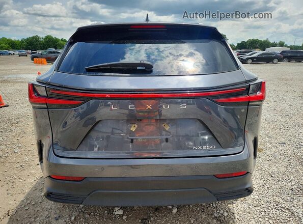 2T2GDCAZ4SC018006 2025 LEXUS NX Gray Widok z tyłu