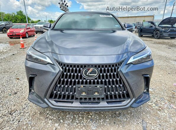 2T2GDCAZ4SC018006 2025 LEXUS NX Gray Widok z przodu