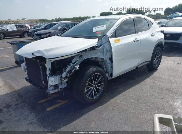 2T2GDCAZ4SC026591 2025 LEXUS NX 250 White Передня ліва чверть