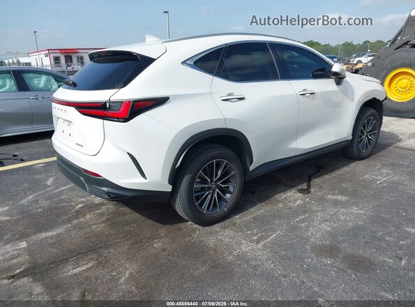 2T2GDCAZ4SC026591 2025 LEXUS NX 250 White Задня права чверть