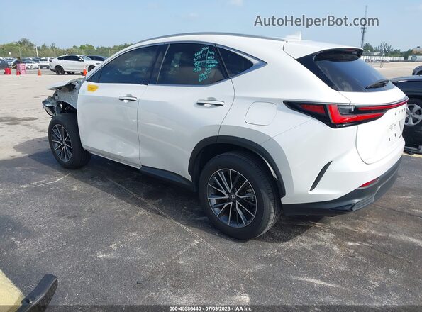 2T2GDCAZ4SC026591 2025 LEXUS NX 250 White Задня ліва чверть