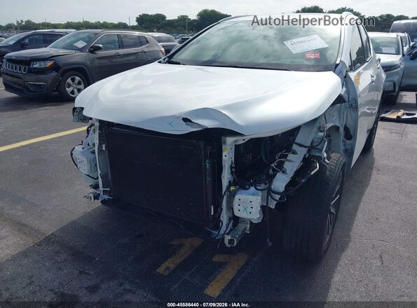 2T2GDCAZ4SC026591 2025 LEXUS NX 250 White Вид спереду