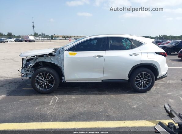 2T2GDCAZ4SC026591 2025 LEXUS NX 250 White 