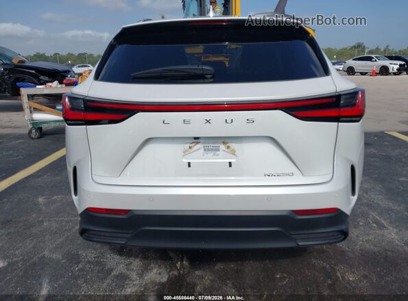 2T2GDCAZ4SC026591 2025 LEXUS NX 250 White 
