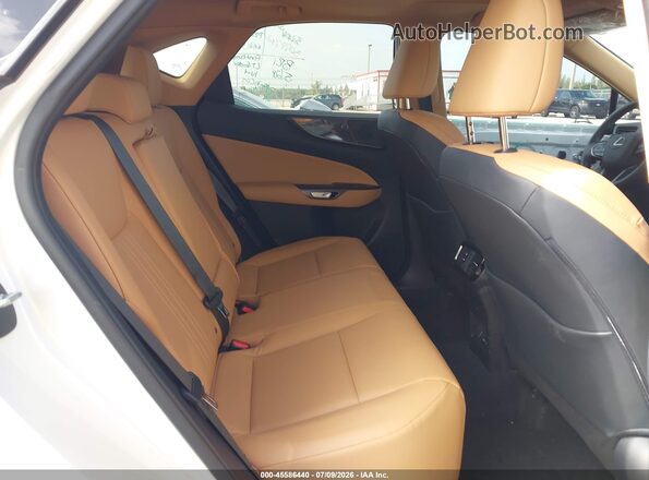 2T2GDCAZ4SC026591 2025 LEXUS NX 250 White Вид наклейки з VIN-кодом