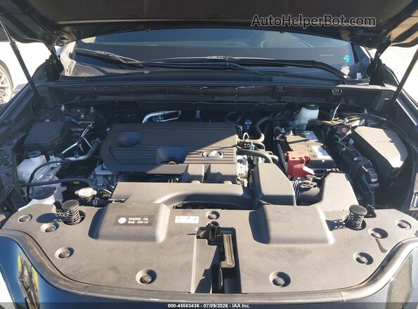 2T2GDCAZ5SC016491 2025 LEXUS NX 250 Black Հետևի տեսք