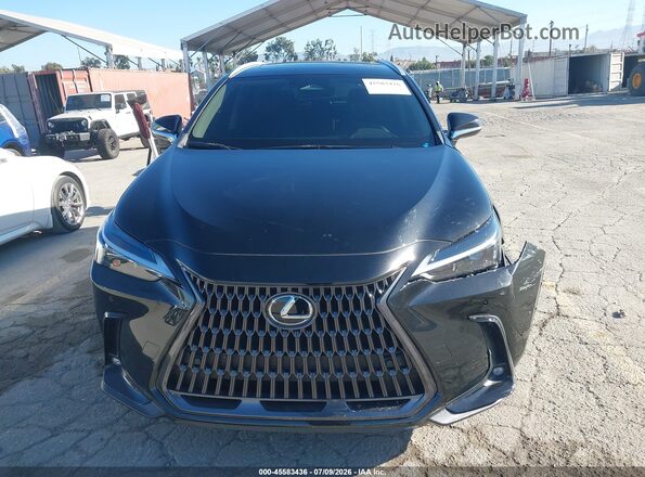 2T2GDCAZ5SC016491 2025 LEXUS NX 250 Black Սարքավորումների վահանակի տեսք