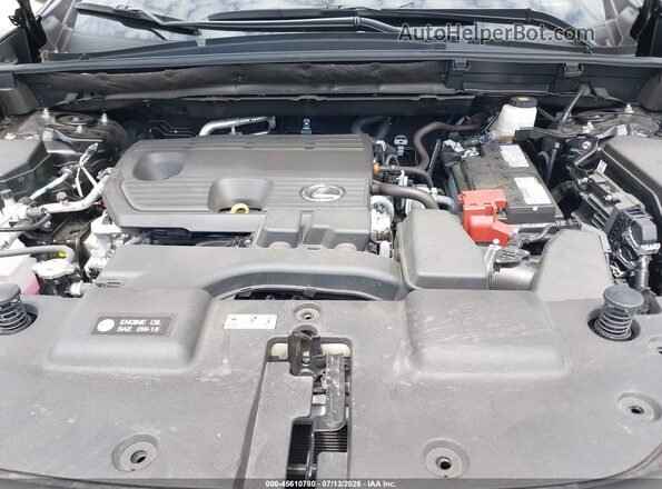 2T2GDCAZ5SC032402 2025 LEXUS NX 250 Black Вид ззаду