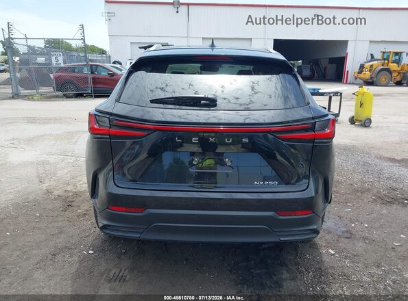 2T2GDCAZ5SC032402 2025 LEXUS NX 250 Black 