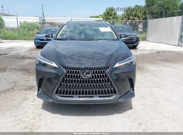 2T2GDCAZ5SC032402 2025 LEXUS NX 250 Black Вид щитка приладів