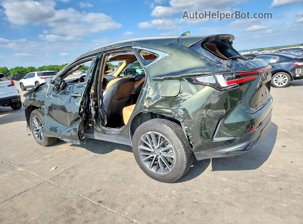 2T2GDCAZ6SC018427 2025 LEXUS NX Зеленый Задняя левая четверть