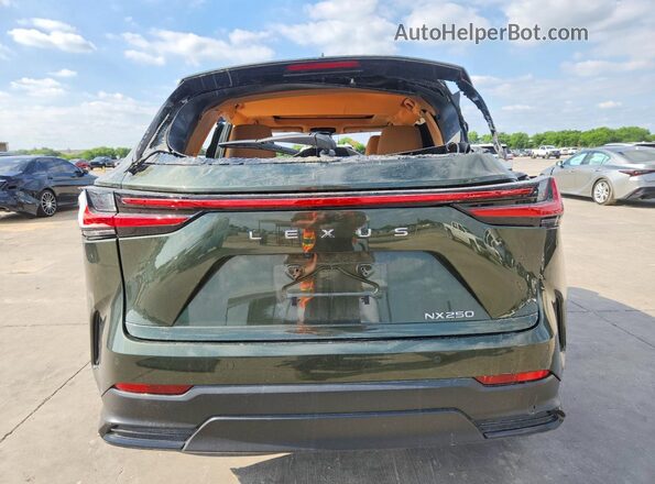 2T2GDCAZ6SC018427 2025 LEXUS NX Зеленый Вид сзади