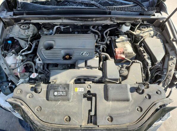 2T2GDCAZ6SC018427 2025 LEXUS NX Зеленый Вид задней части салона