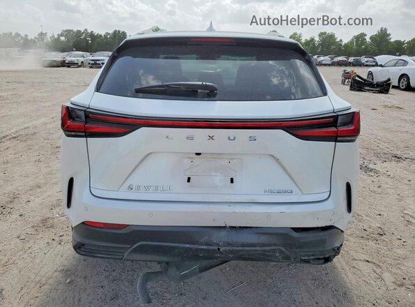 2T2GDCAZ7RC015725 2024 LEXUS NX White Вид ззаду