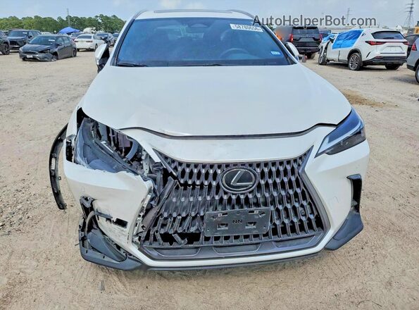 2T2GDCAZ7RC015725 2024 LEXUS NX White Вид спереду