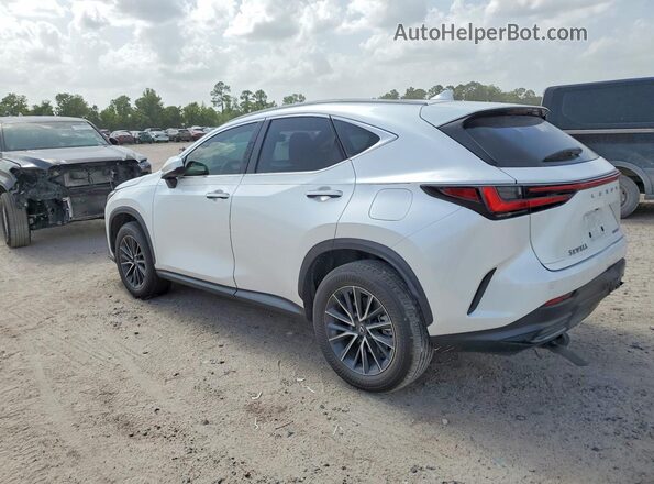 2T2GDCAZ7RC015725 2024 LEXUS NX White Задня ліва чверть