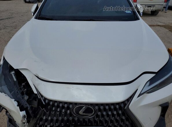 2T2GDCAZ7RC015725 2024 LEXUS NX White Вид підкапотного простору