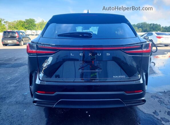 2T2GDCAZ8SC032166 2025 LEXUS NX Black Rear view