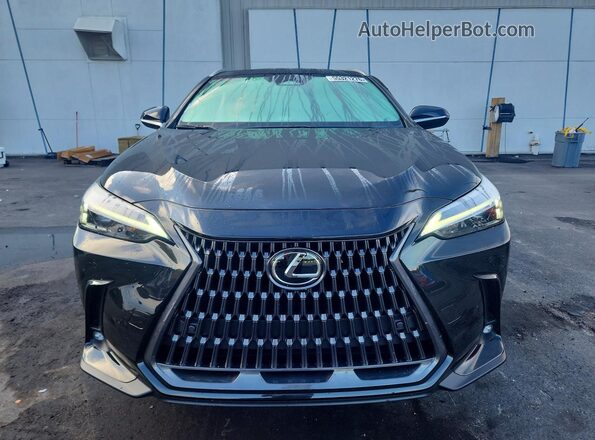 2T2GDCAZ8SC032166 2025 LEXUS NX Black Front view