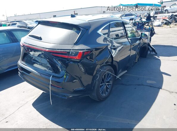 2T2GDCAZ9RC008744 2024 LEXUS NX 250 Black უკანა მარჯვენა