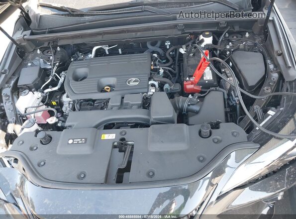 2T2GDCAZ9RC008744 2024 LEXUS NX 250 Black უკანა ხედი