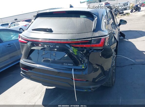 2T2GDCAZ9RC008744 2024 LEXUS NX 250 Black 