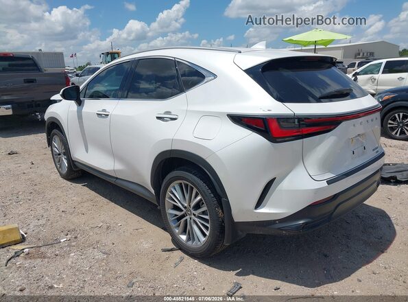 2T2GGCEZ0SC065812 2025 LEXUS NX 350 White Trasero izquierdo