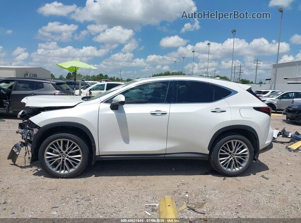 2T2GGCEZ0SC065812 2025 LEXUS NX 350 White 