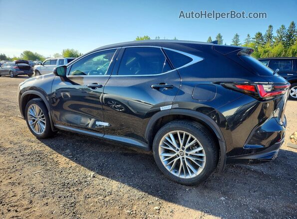 2T2GGCEZ1SC063860 2025 LEXUS NX Black Задня ліва чверть