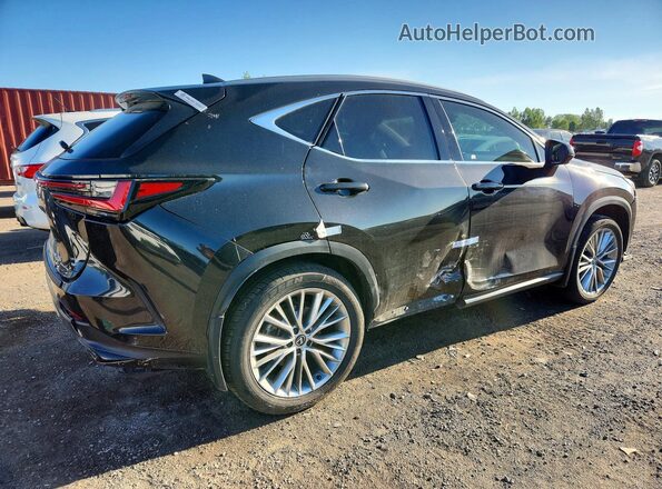 2T2GGCEZ1SC063860 2025 LEXUS NX Black Задня права чверть