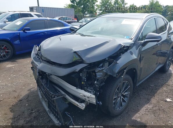 2T2GGCEZ1SC081047 2025 LEXUS NX 350 Серый Вид спереди