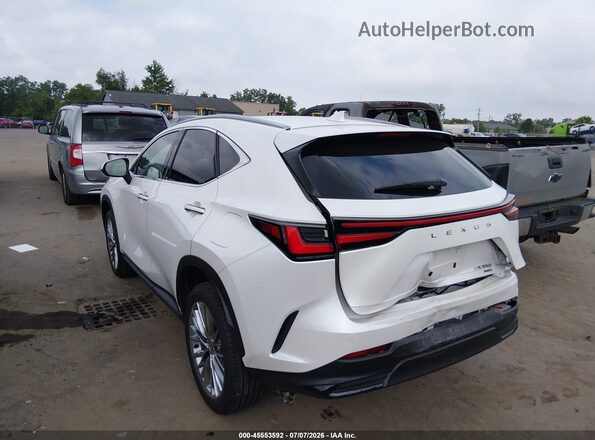 2T2GGCEZ1SC088807 2025 LEXUS NX 350 Белый Задняя левая четверть