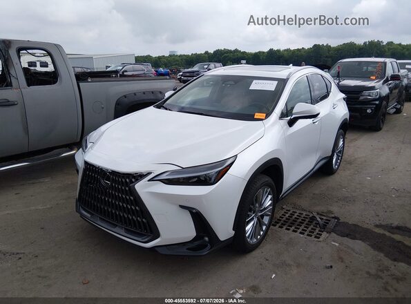 2T2GGCEZ1SC088807 2025 LEXUS NX 350 Белый Передняя левая четверть