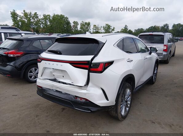 2T2GGCEZ1SC088807 2025 LEXUS NX 350 Белый Задняя правая четверть