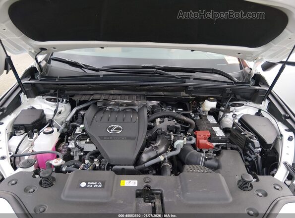 2T2GGCEZ1SC088807 2025 LEXUS NX 350 Белый Вид сзади
