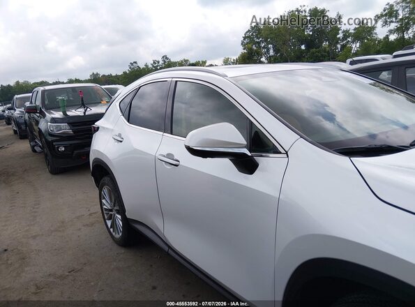 2T2GGCEZ1SC088807 2025 LEXUS NX 350 Белый Вид задней части салона