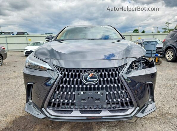 2T2GGCEZ2PC025173 2023 LEXUS NX Black Vista frontal
